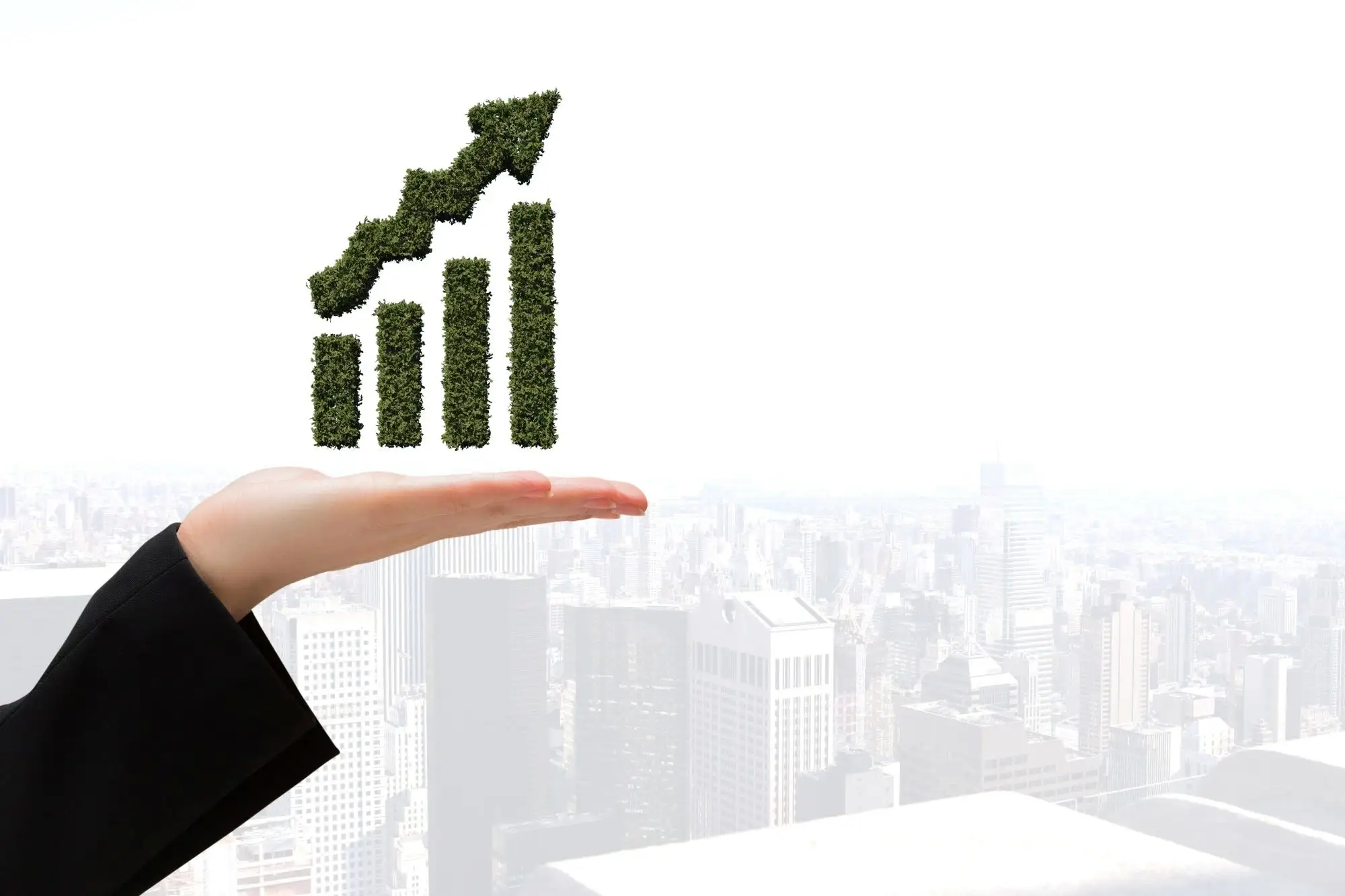 Sustainable, Long-Term Growth